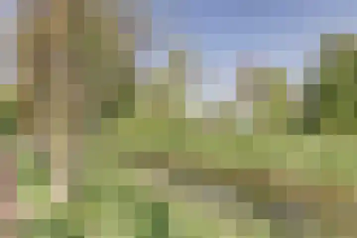 Vlieland 2 Utrecht thumbnail 22