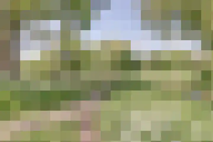 Vlieland 2 Utrecht thumbnail 23