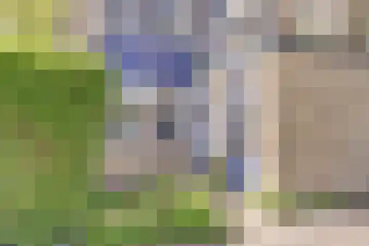 Vlieland 2 Utrecht thumbnail 5