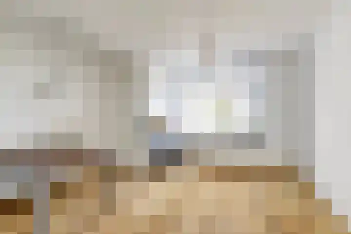 Vlieland 2 Utrecht thumbnail 8