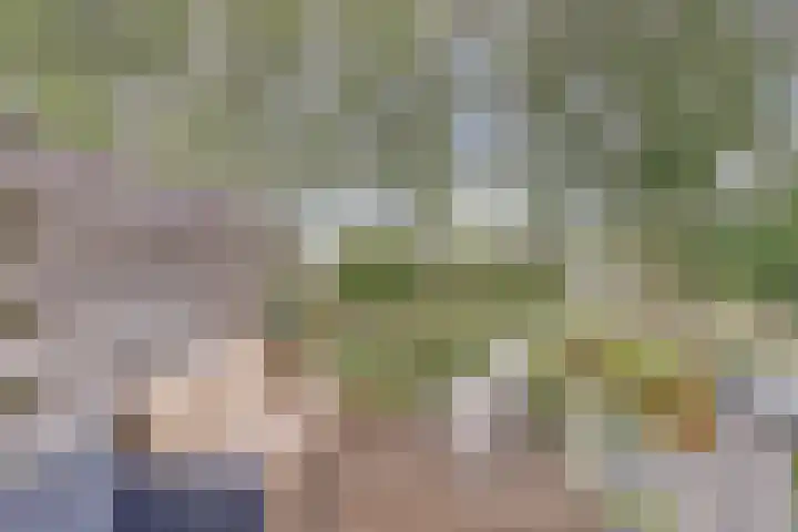 Vlieland 4 Utrecht thumbnail 18