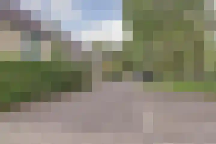Vlieland 4 Utrecht thumbnail 20