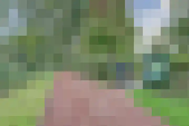Vlieland 4 Utrecht thumbnail 21