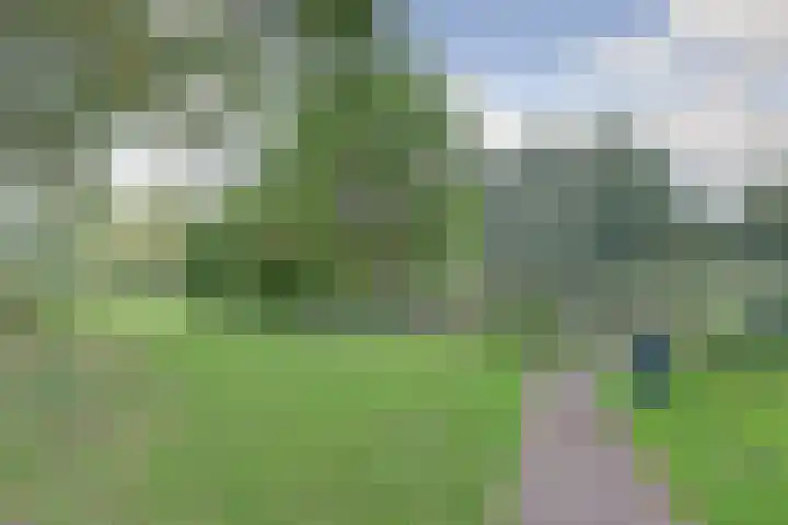Vlieland 4 Utrecht thumbnail 22