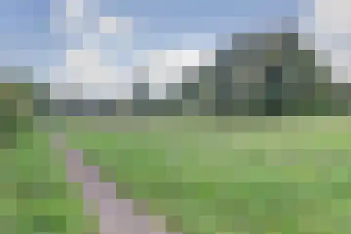 Vlieland 4 Utrecht thumbnail 23