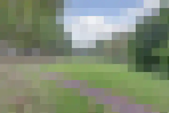 Vlieland 4 Utrecht thumbnail 24