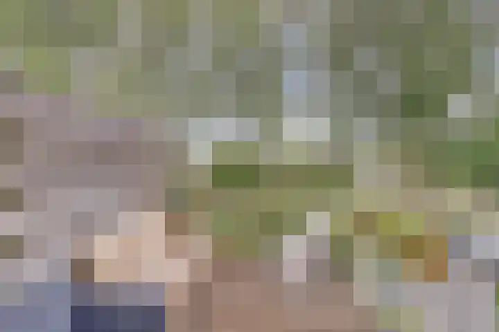 Vlieland 4 Utrecht thumbnail 5