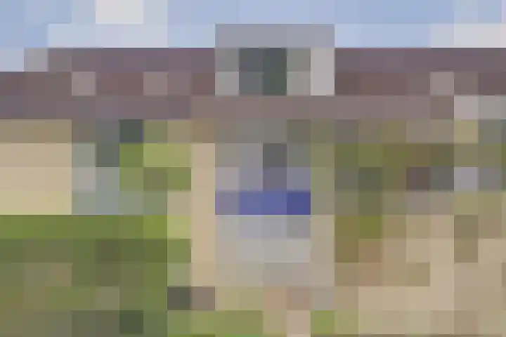 Vlieland 4 Utrecht thumbnail 6