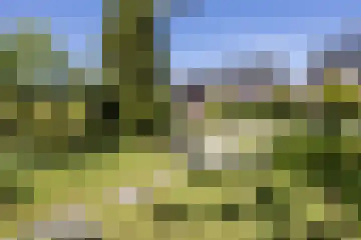Vlieland 51 Heemskerk thumbnail 13