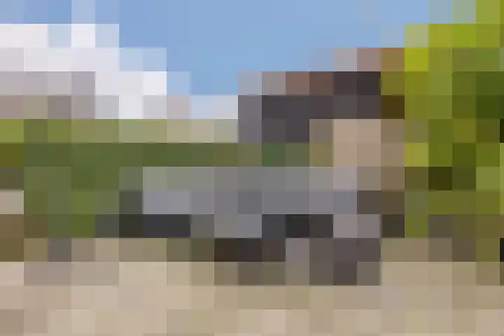 Vlieland 53 Heemskerk thumbnail 43