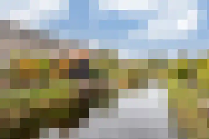 Vlieland 53 Heemskerk thumbnail 47