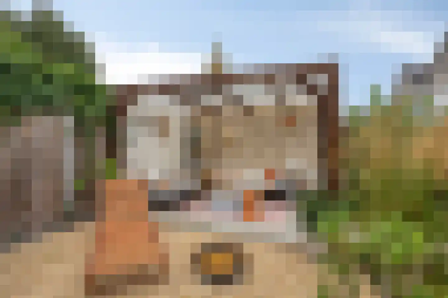 Vlieland 6 Emmeloord thumbnail 18