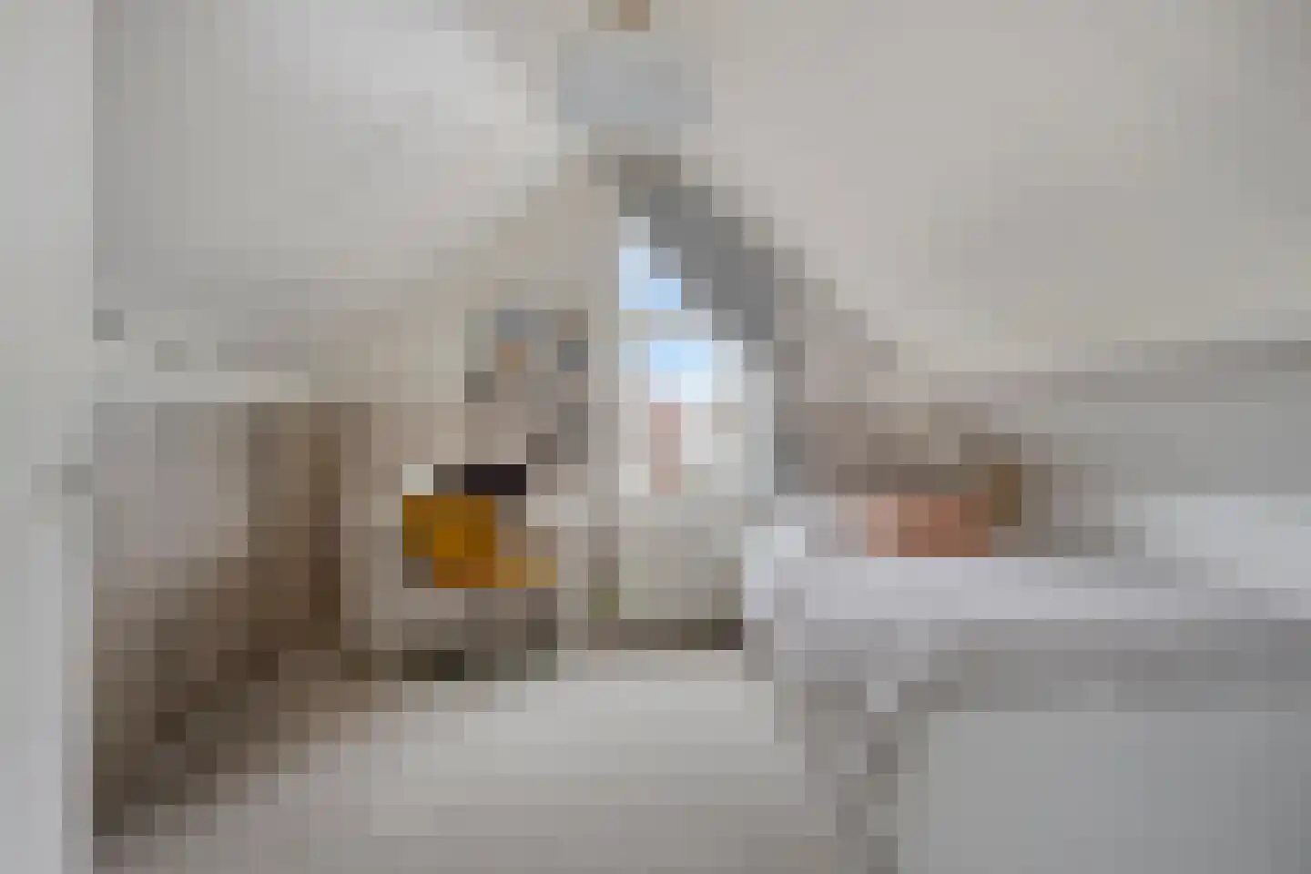 Vlieland 6 Emmeloord thumbnail 33