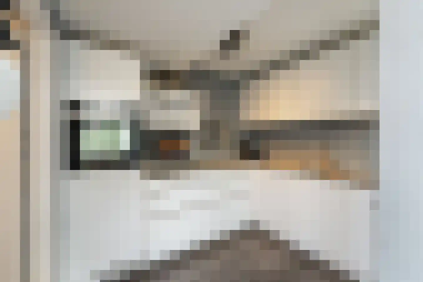 Vlieland 7 Emmeloord thumbnail 19