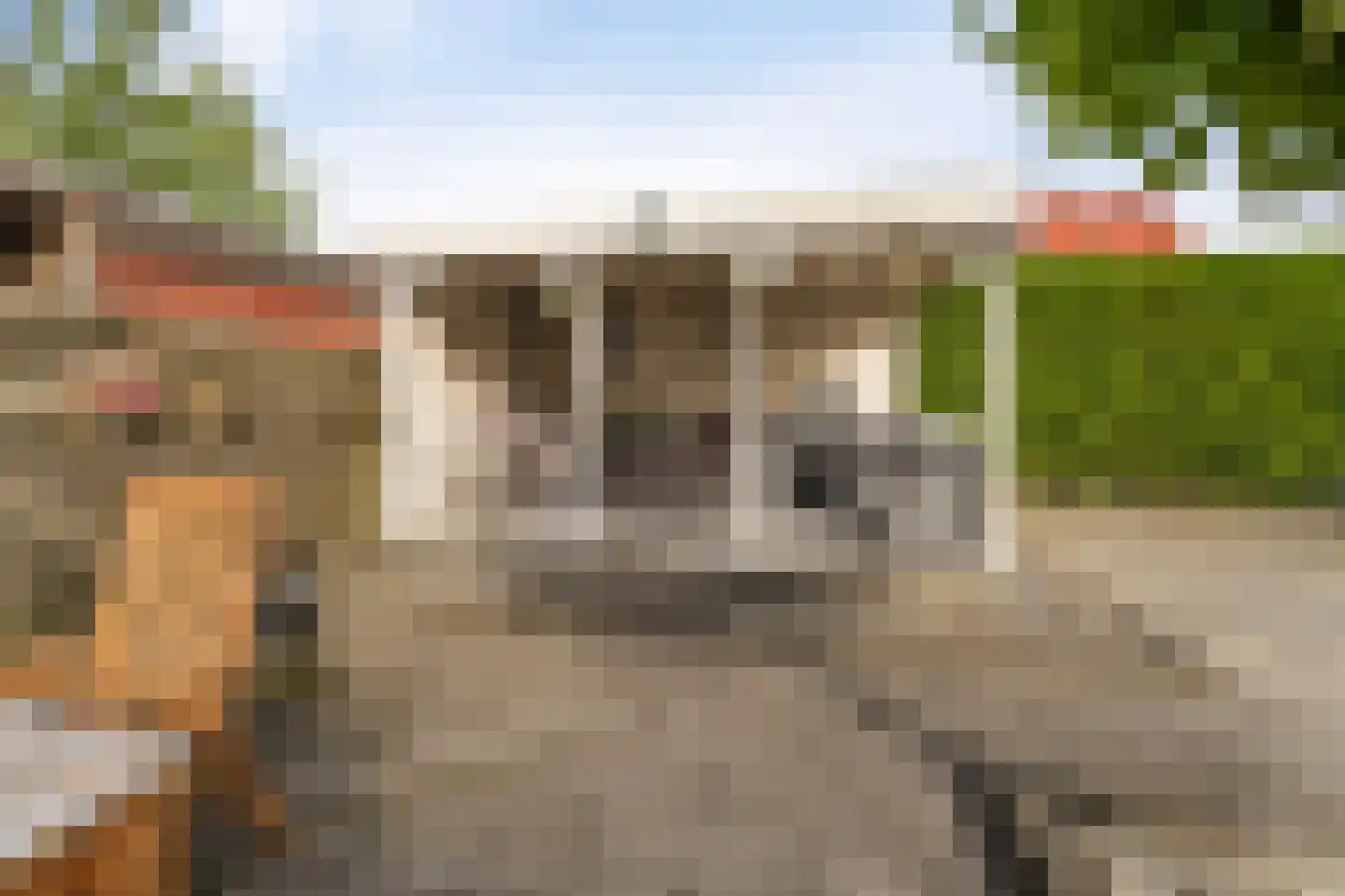 Vlieland 7 Emmeloord thumbnail 24