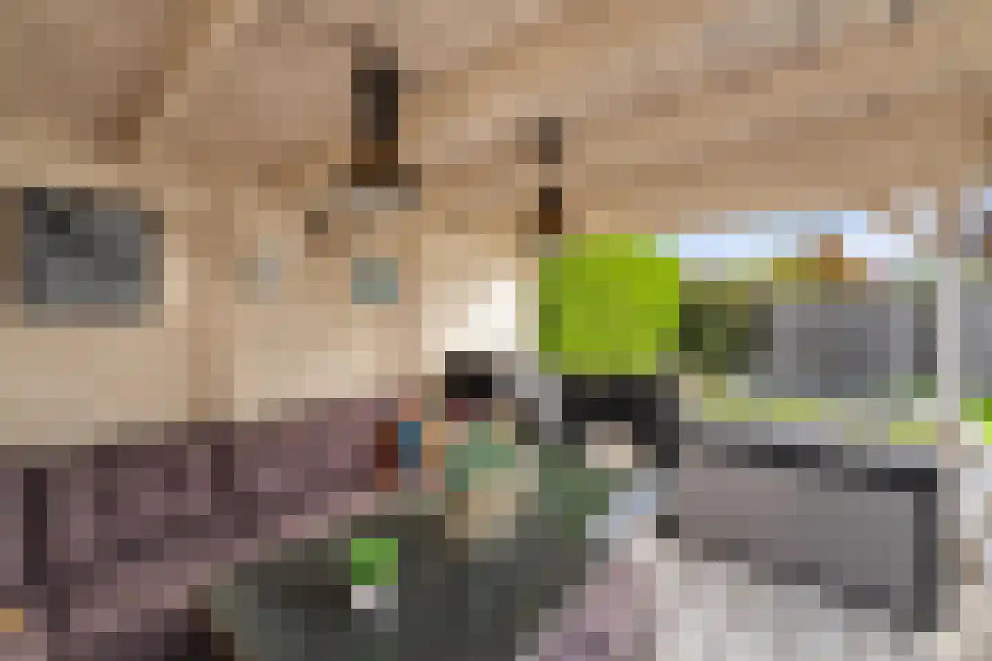 Vlieland 7 Emmeloord thumbnail 28