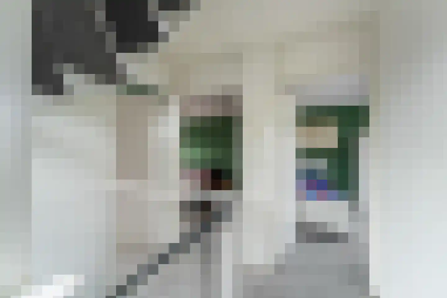 Vlieland 7 Emmeloord thumbnail 33