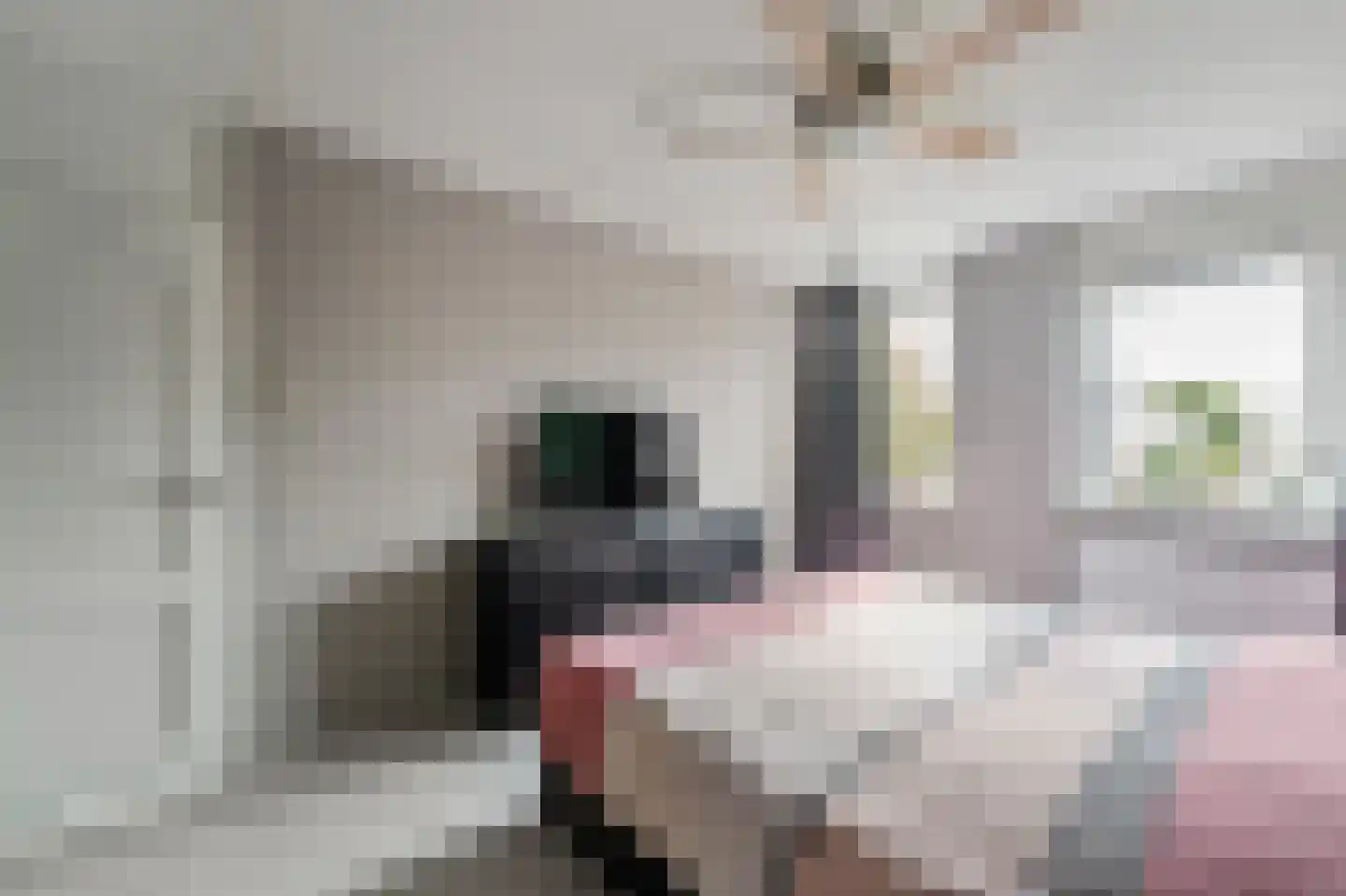 Vlieland 7 Emmeloord thumbnail 37