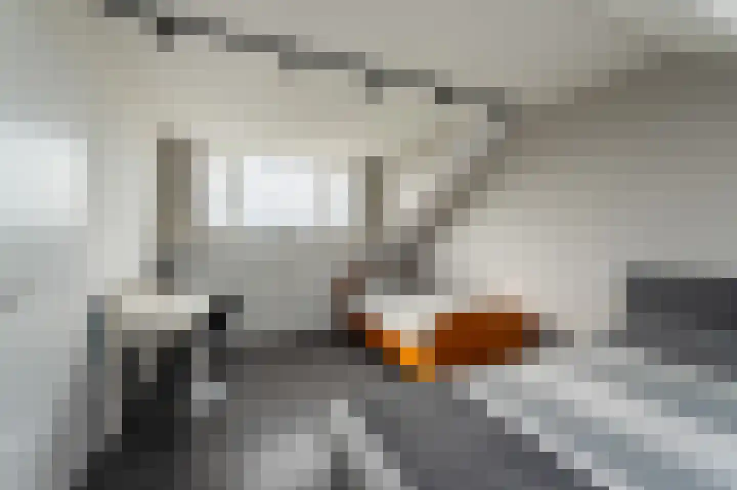 Vlieland 7 Emmeloord thumbnail 49