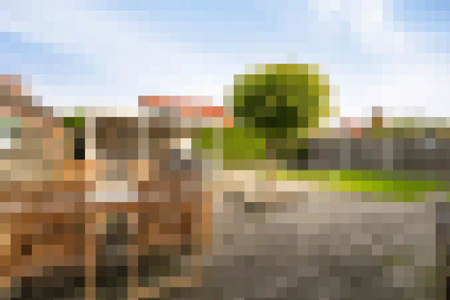 Vlieland 7 Emmeloord thumbnail 5