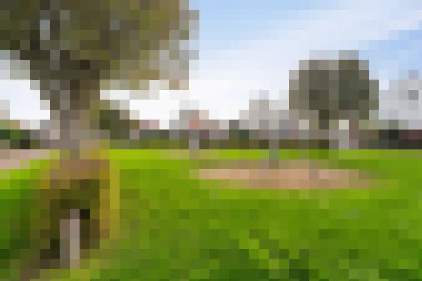 Vlieland 7 Emmeloord thumbnail 7
