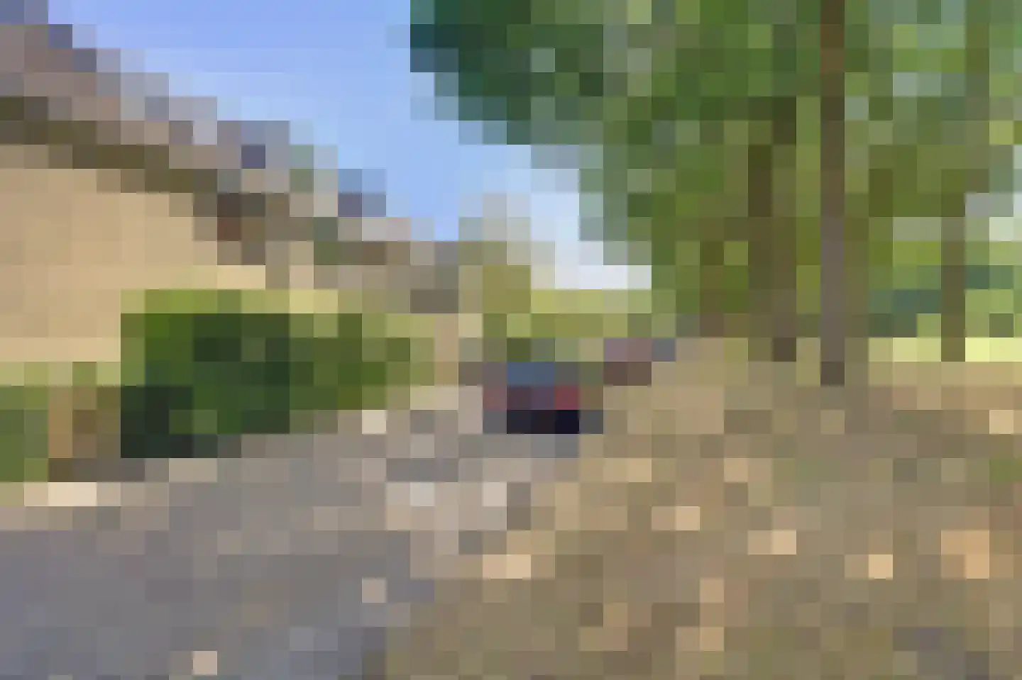 Vlieland 94 Utrecht thumbnail 15