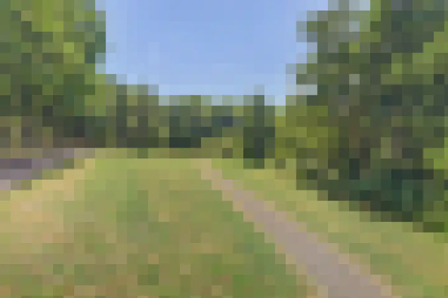 Vlieland 94 Utrecht thumbnail 17