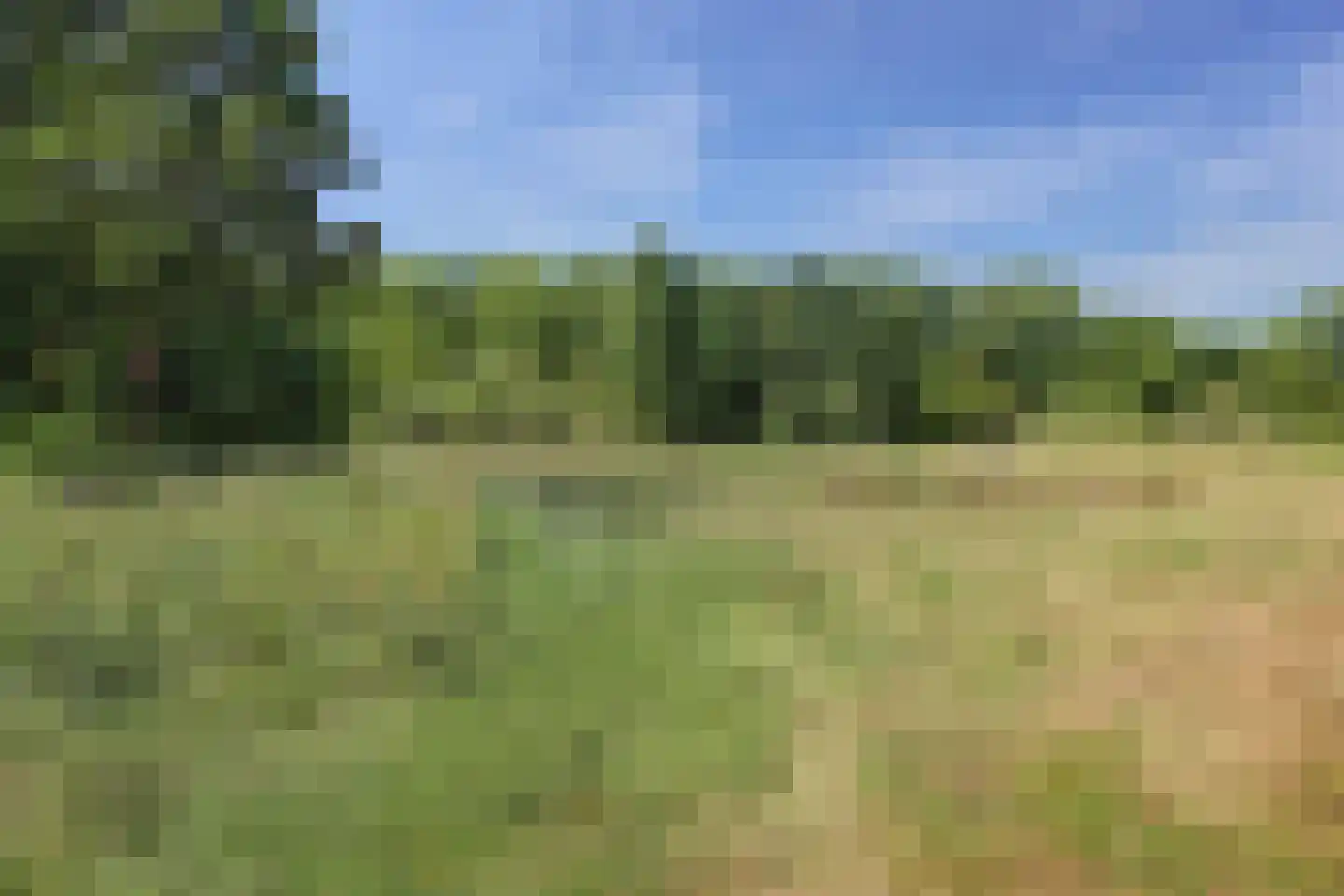 Vlieland 94 Utrecht thumbnail 18