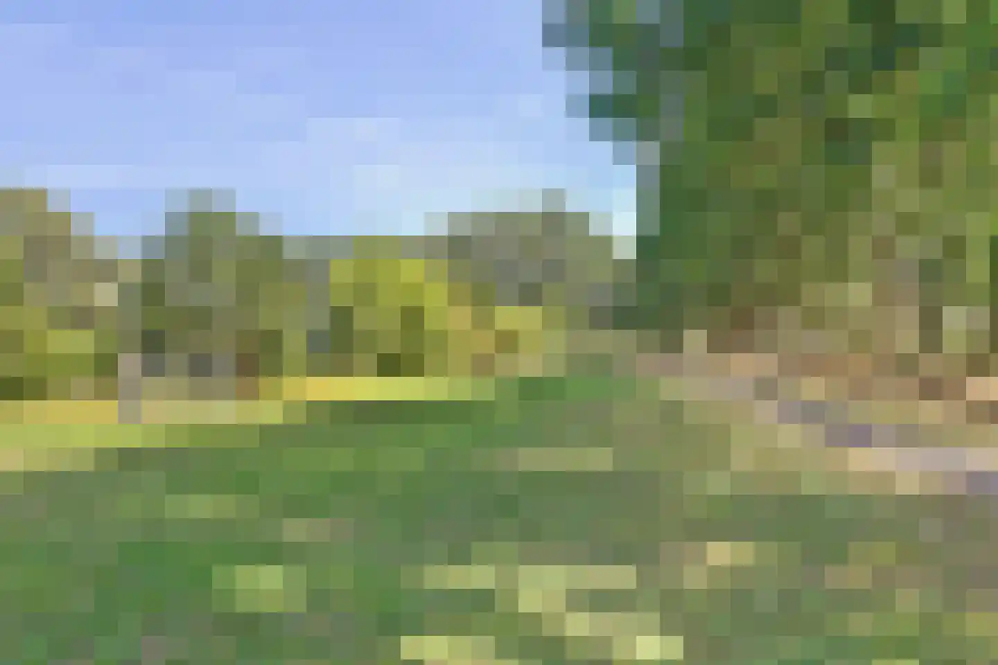 Vlieland 94 Utrecht thumbnail 19