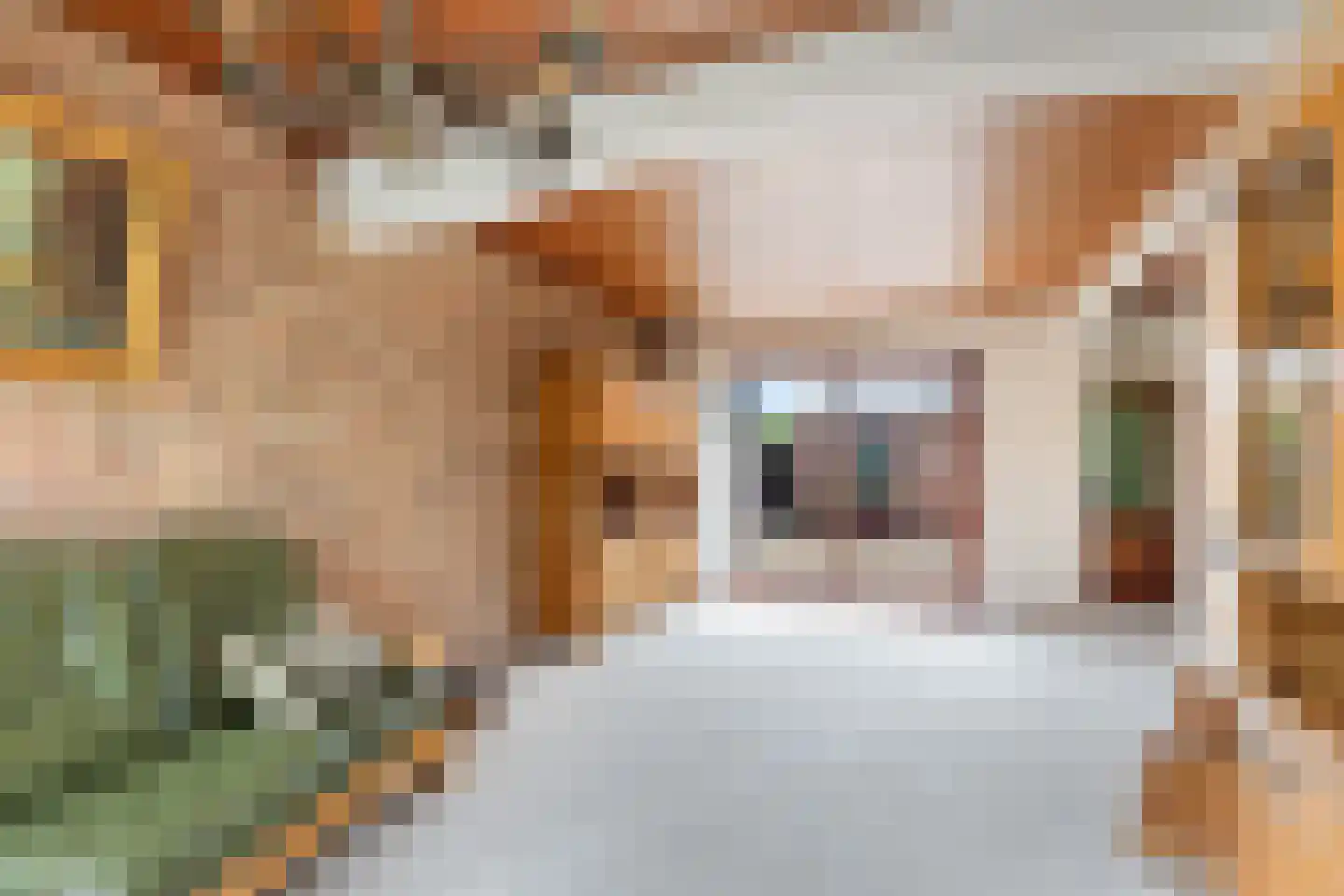 Vlielanderstraat 13 Numansdorp thumbnail 10