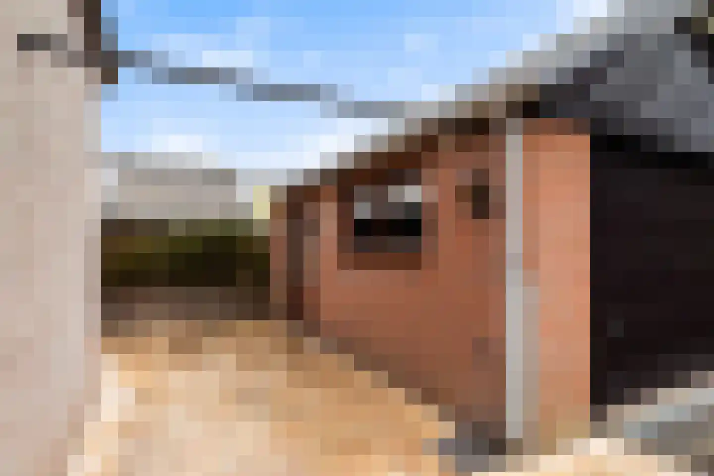 Vlielanderstraat 13 Numansdorp thumbnail 40