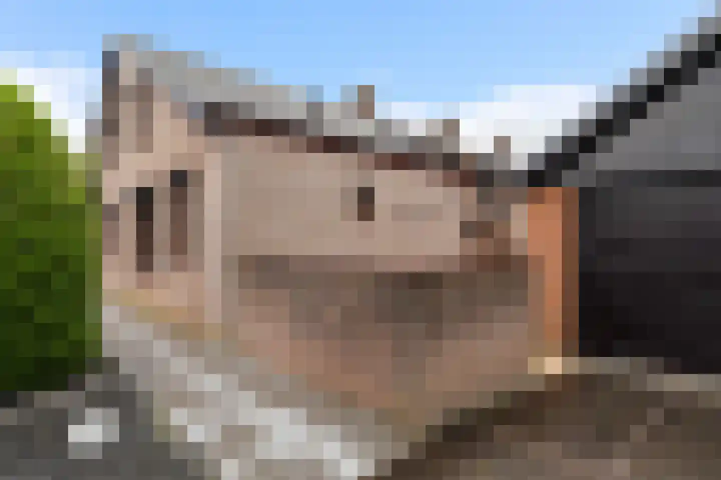 Vlielanderstraat 13 Numansdorp thumbnail 41