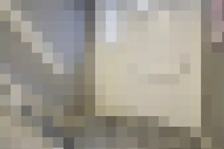 Vlielanderstraat 45 Pernis Rotterdam thumbnail 12