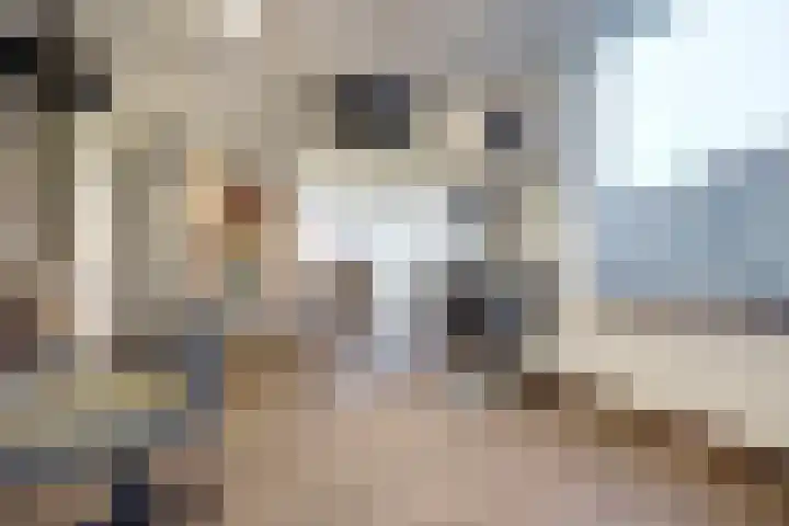 Vlielanderstraat 45 Pernis Rotterdam thumbnail 6