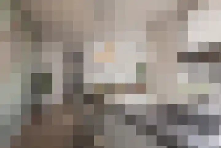 Vlielanderstraat 45 Pernis Rotterdam thumbnail 7