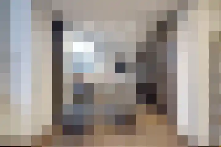 Vlielanderstraat 45 Pernis Rotterdam thumbnail 9