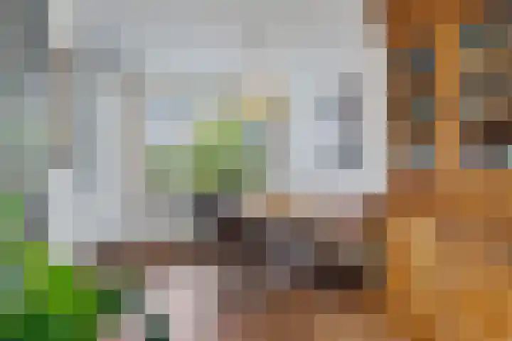 Vlielandlaan 13 Duiven thumbnail 14