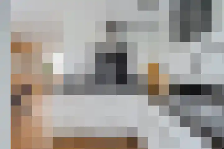 Vlielandlaan 13 Duiven thumbnail 17