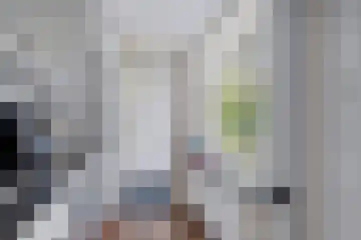 Vlielandlaan 13 Duiven thumbnail 18
