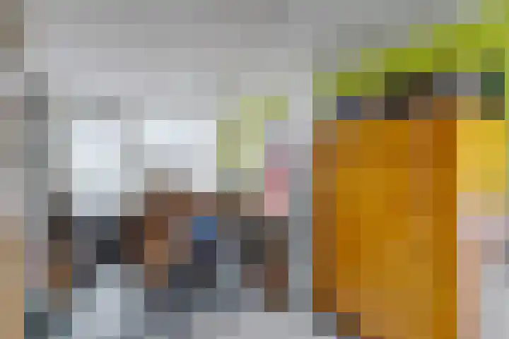 Vlielandlaan 13 Duiven thumbnail 20