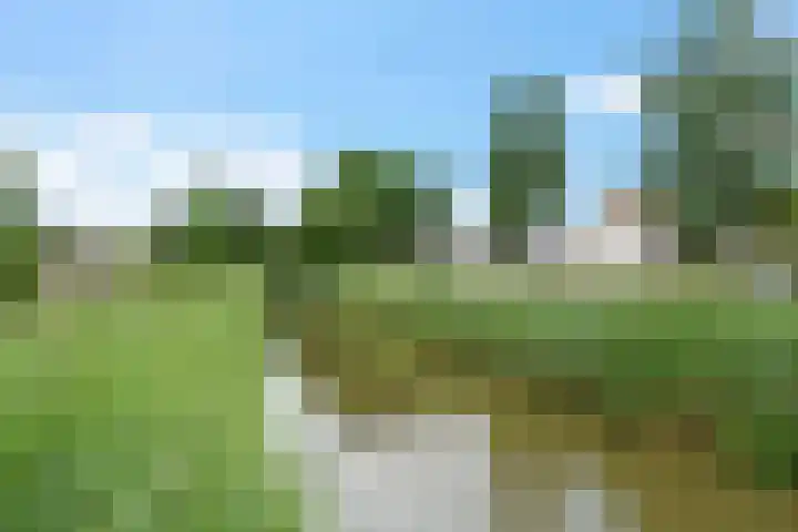 Vlielandlaan 13 Duiven thumbnail 48