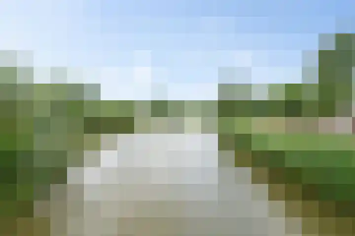 Vlielandlaan 13 Duiven thumbnail 49