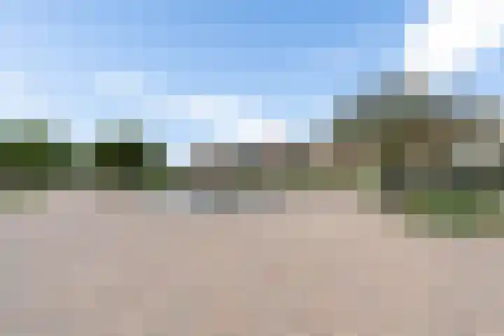 Vlielandlaan 13 Duiven thumbnail 51