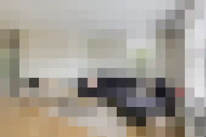 Vlielandlaan 15 Duiven thumbnail 14