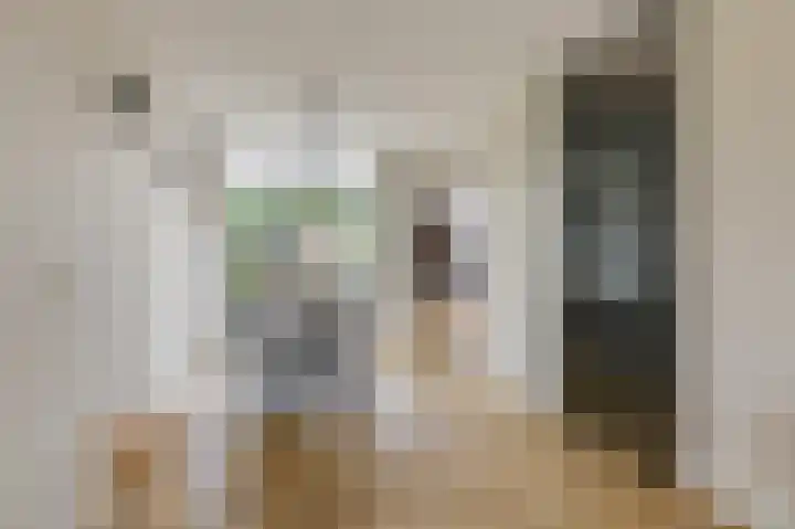 Vlielandlaan 15 Duiven thumbnail 15