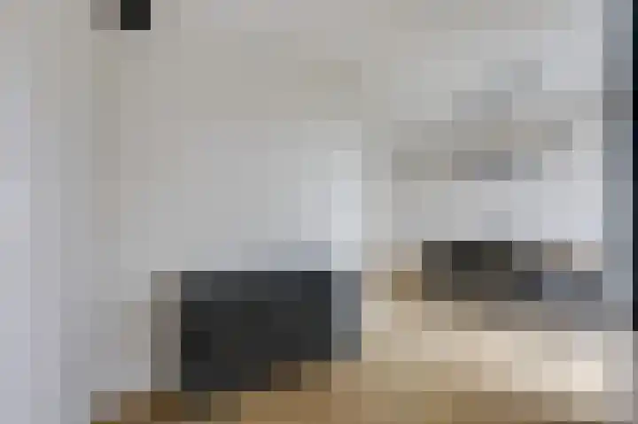 Vlielandlaan 15 Duiven thumbnail 17