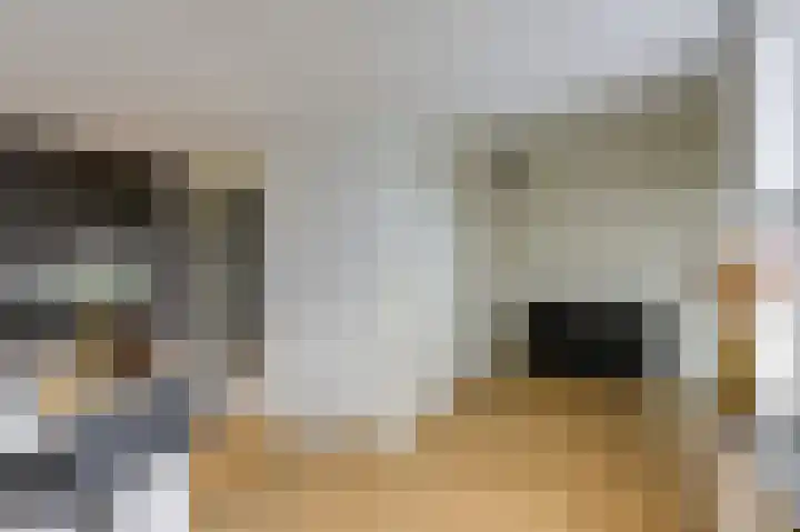 Vlielandlaan 15 Duiven thumbnail 21