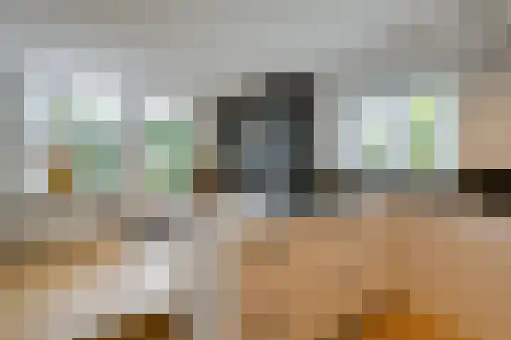 Vlielandlaan 15 Duiven thumbnail 23