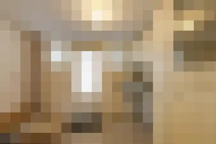 Vlielandlaan 15 Duiven thumbnail 25