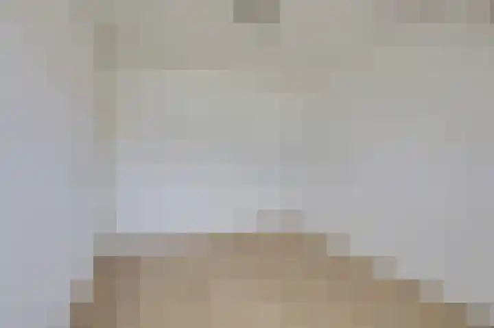 Vlielandlaan 15 Duiven thumbnail 33